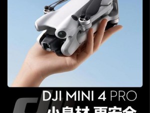 一款功能强大的 pro 级电子产品