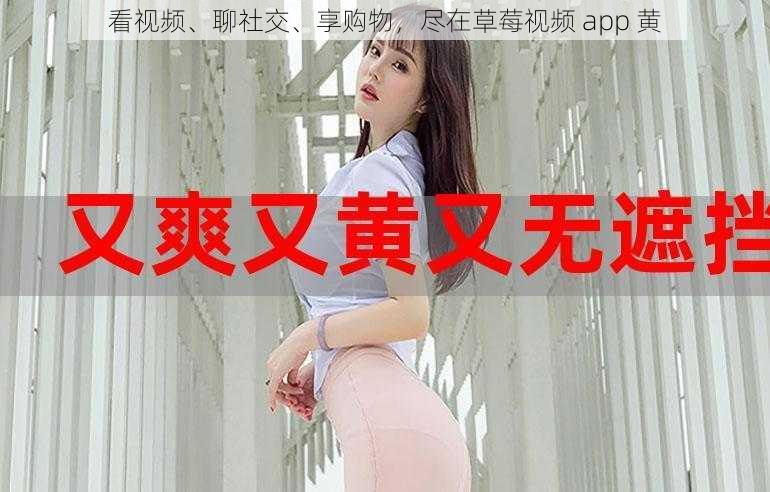 看视频、聊社交、享购物，尽在草莓视频 app 黄