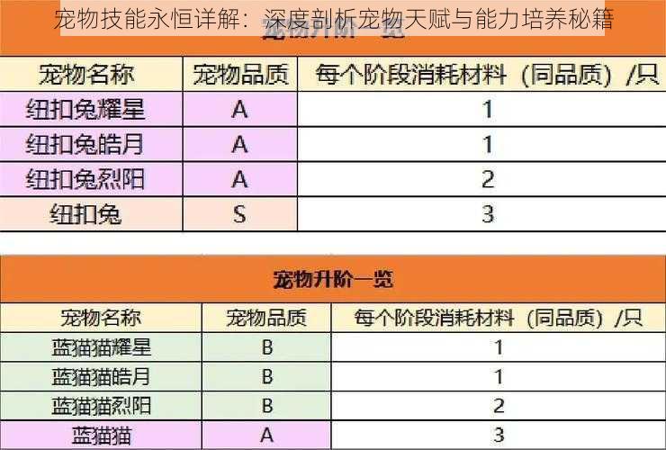 宠物技能永恒详解：深度剖析宠物天赋与能力培养秘籍