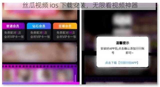 丝瓜视频 ios 下载安装，无限看视频神器