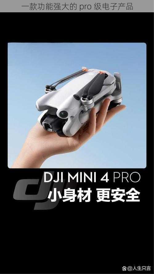 一款功能强大的 pro 级电子产品