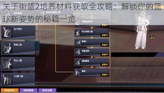 关于街篮2培养材料获取全攻略：解锁你的篮球新姿势的秘籍一览
