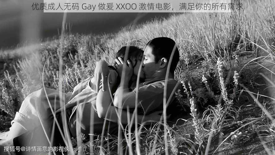 优质成人无码 Gay 做爰 XXOO 激情电影，满足你的所有需求