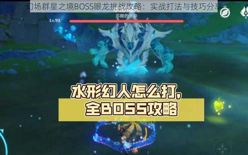 幻场群星之境BOSS眼龙挑战攻略：实战打法与技巧分享